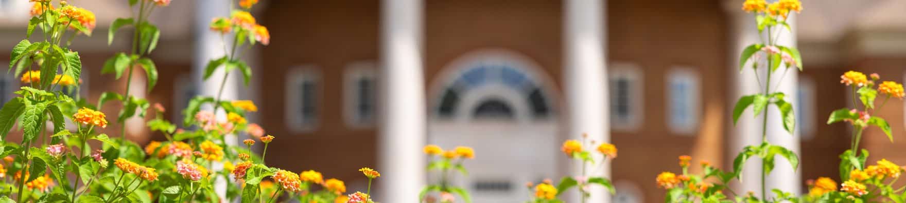 Two students walking on Regent University's campus during the summer in Virginia Beach, VA.