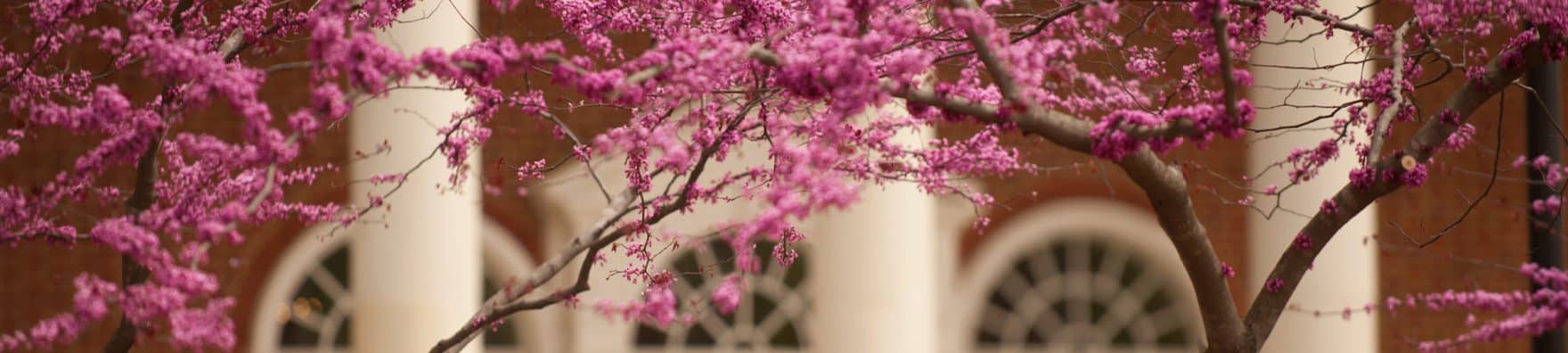 A closeup of two Regent University students smiling and looking off at the beautiful Virginia Beach campus.