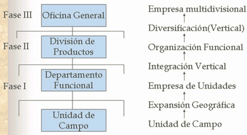 Diagrama de evolución organizacional en tres fases: Fase I: Unidad de Campo y Departamento Funcional. Fase II: División de Productos. Fase III: Oficina General. A la derecha, etapas de desarrollo: Unidad de Campo, Expansión Geográfica, Empresa de Unidades, Integración Vertical, Organización Funcional, Diversificación (Vertical), Empresa Multidivisional.