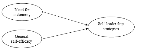 self-leadership strategies come from a need for autonomy and general efficacy