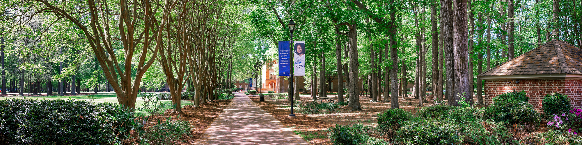 Regent University's honors college offers a range of degree programs in in Virginia Beach, VA 23464.